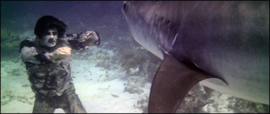 zombi2