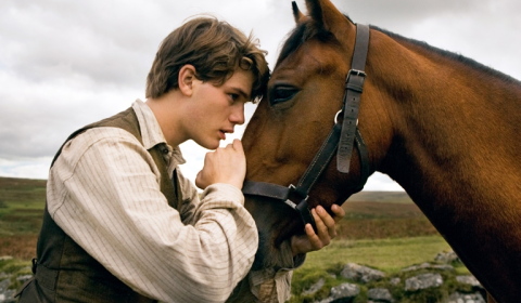 Válečný kůň (War horse) – S koněm napříč válkou – recenze